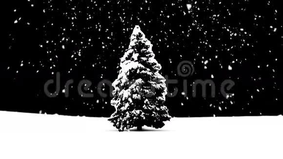 有树的圣诞雪视频的预览图