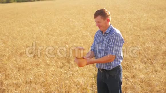 老农夫贝克的生活方式是在成熟的麦田里拿着金色的面包和面包慢动作视频收获时间古老的视频的预览图