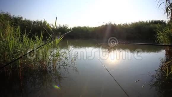 日出时钓鱼阳光照在水里视频的预览图