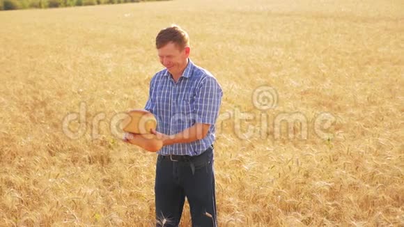 老农夫面包师拿着一个金色的面包和面包在成熟的麦田慢动作生活方式视频收获时间老了视频的预览图