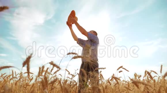 老农夫剪影面包师拿着一个金色的面包和面包在成熟的麦田对抗蓝色的生活方式天空慢慢慢慢视频的预览图