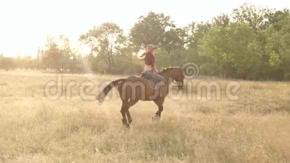 日落时小女孩骑着马在田野上视频的预览图