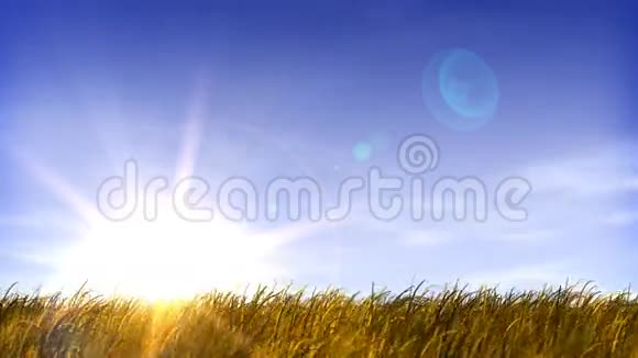 夏季草地和日落视频的预览图