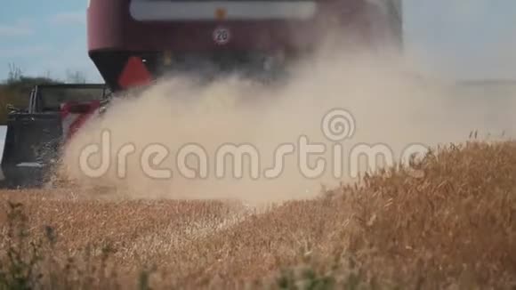 联合收割机收割小麦慢动作视频农业收获概念在一片金黄的土地上联合收割视频的预览图