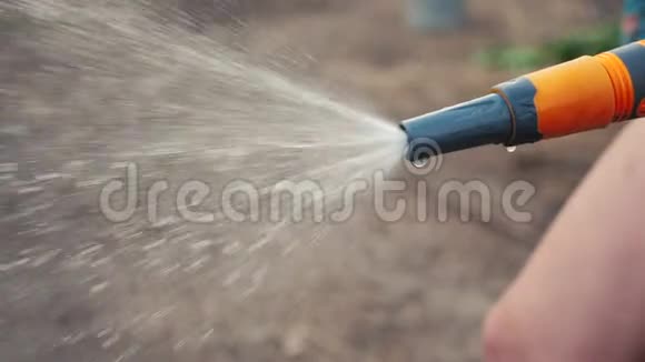园艺园生活方式护理理念泼水慢动作视频女人拿着花园水管浇水视频的预览图