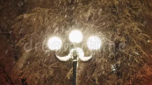 路灯照下美丽的大雪视频的预览图