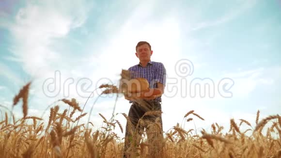 老农夫剪影面包师拿着一个金色的面包和面包在成熟的麦田对抗蓝天生活方式缓慢视频的预览图