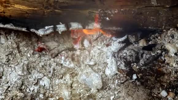 近距离观看烧烤架中燃烧的木炭和火焰景深较浅视频的预览图