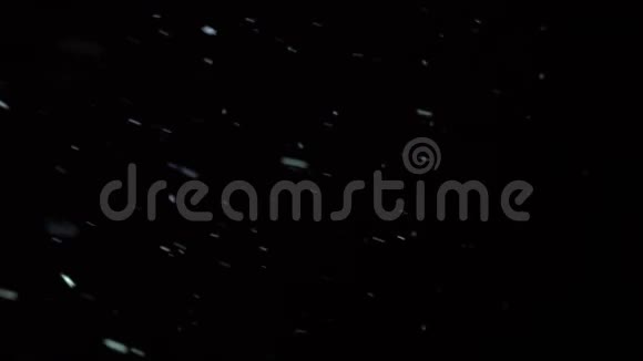 雪闪是开着风黑色天空背景下的大片雪花视频的预览图