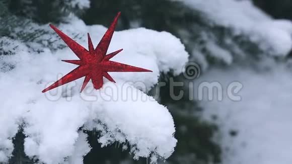 白雪覆盖的红色圣诞星冬天的背景视频的预览图