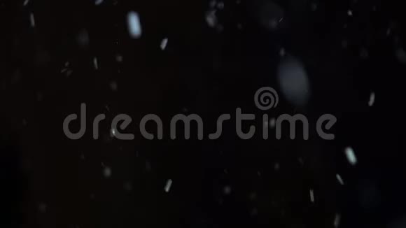 雪闪是开着风黑色天空背景下的大片雪花视频的预览图