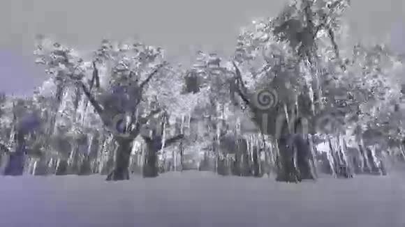 卡车在大雨中奔驰在树木和山之间的道路上视频的预览图