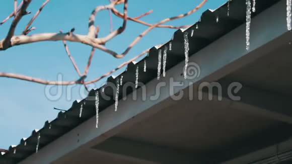 在屋顶上融化冰柱视频的预览图