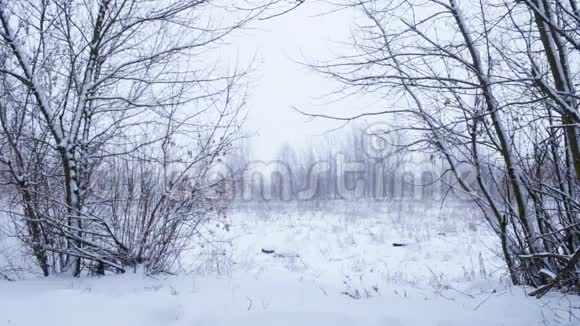 冬天的雪景视频的预览图