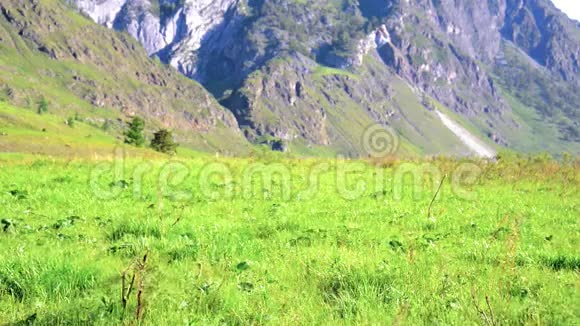 徒步旅行者带着背包在绿色的山地草地上行走夏季运动和娱乐理念视频的预览图