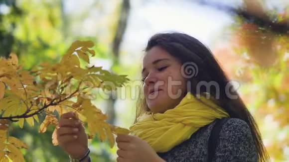 一位年轻美丽的妇女在公园里欣赏秋天的肖像视频的预览图