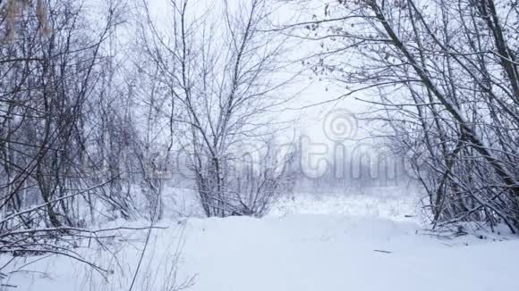 冬天的雪景视频的预览图