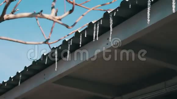 在屋顶上融化冰柱视频的预览图