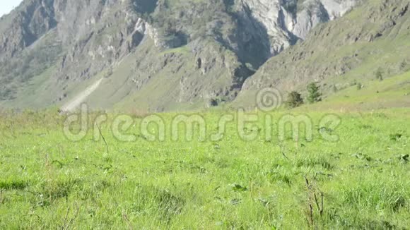 徒步旅行者带着背包在绿色的山地草地上行走夏季运动和娱乐理念视频的预览图