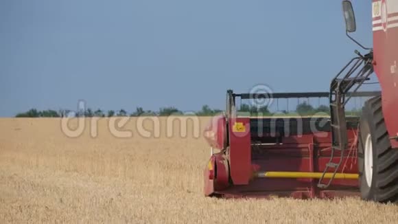 联合收割机收割小麦小麦收获剪领域的组合食品行业理念视频的预览图