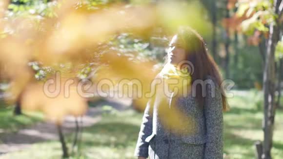 一位年轻美丽的妇女在公园里欣赏秋天的肖像视频的预览图