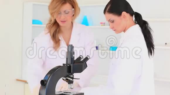 科学家女性通过显微镜观察视频的预览图