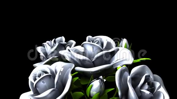 白色玫瑰花束黑色文字空间视频的预览图