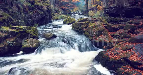 秋色中的野河杜布拉瓦视频的预览图