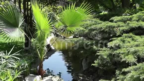 摩纳哥花园视频的预览图
