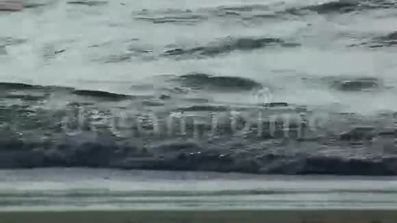 海浪视频的预览图