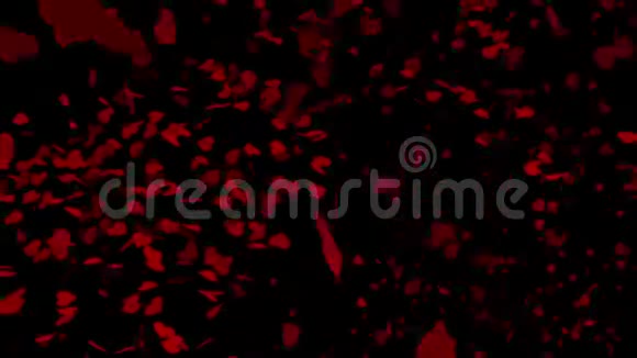 红色的心落在黑色的表面与缬草信息视频的预览图