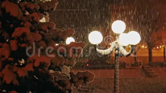 在路灯的灯光下美丽的强烈降雪视频的预览图