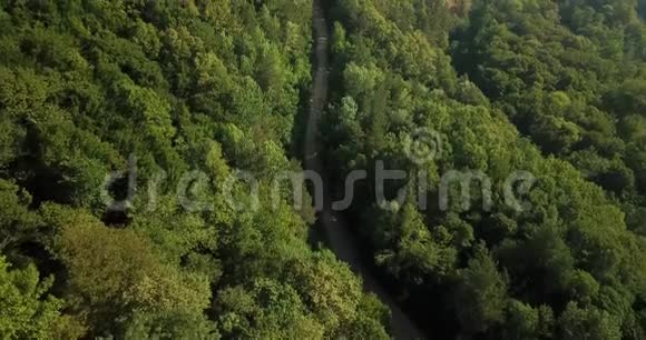 蓝天下的俄罗斯森林和山脉视频的预览图