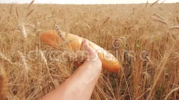 人们在麦田里拿着一条面包慢生活方式运动视频小麦领域的成功农学家视频的预览图