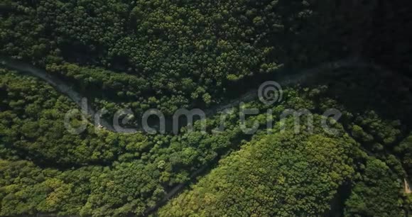 蓝天下的俄罗斯森林和山脉视频的预览图