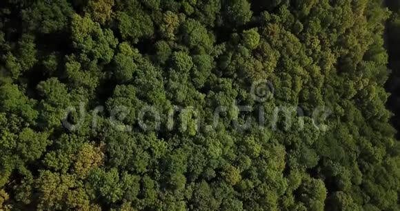 蓝天下的俄罗斯森林和山脉视频的预览图