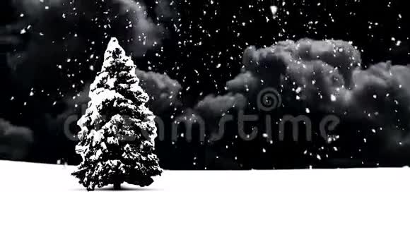 有树的圣诞雪视频的预览图