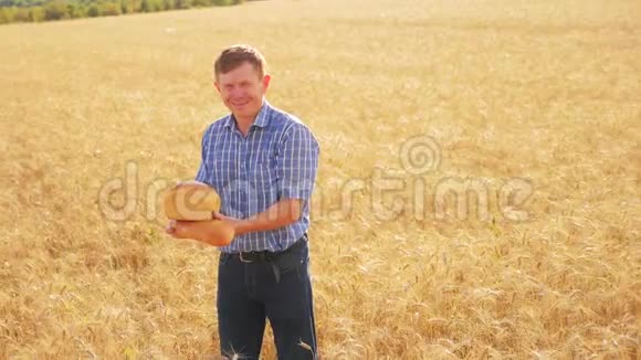老农夫面包师拿着一个金色的面包和面包在成熟的麦田慢动作视频收获时间生活方式老了视频的预览图