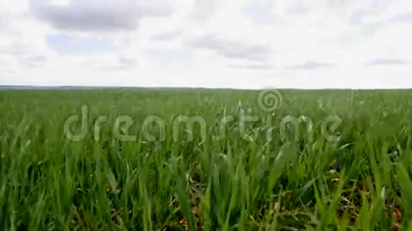 农业领域环境理念视频的预览图
