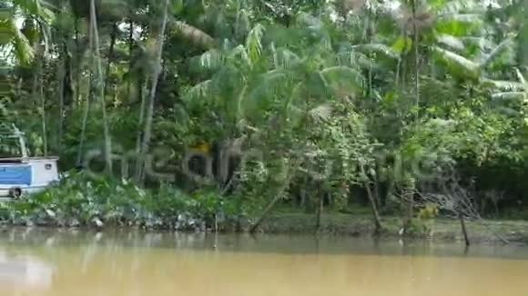巴西贝伦杜帕拉的湿地视频的预览图