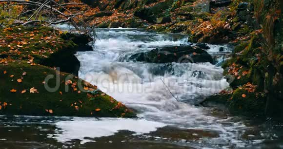 秋色中的野河杜布拉瓦视频的预览图