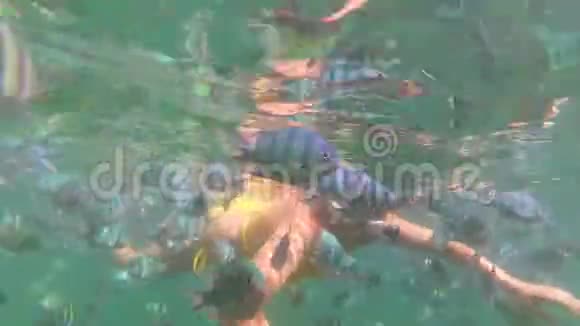 女孩用鱼在海里洗澡面罩潜水视频的预览图