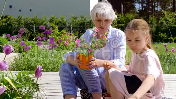 祖母和女孩在花园里种花视频的预览图