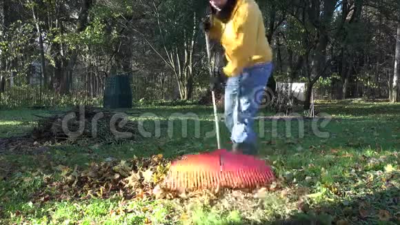 工人在后院耙秋叶秋天的季节工作4K视频的预览图