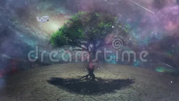 神秘的生命之树视频的预览图