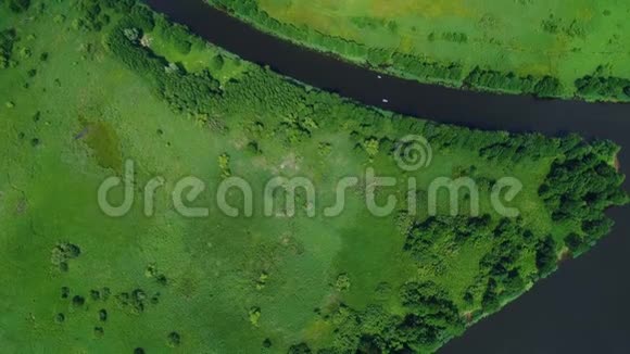 在草地上飞过河流视频的预览图