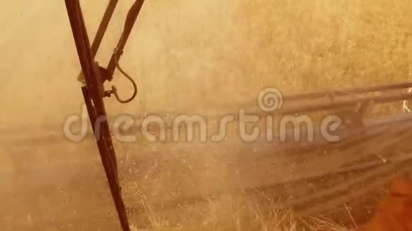 男农驾驶结合收割与生活方式小麦从联合沙龙从第一个视频的预览图