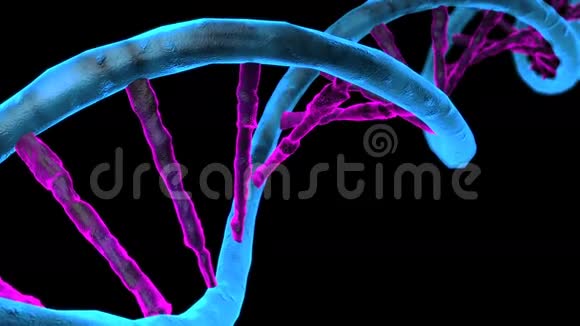 动画DNA链旋转DNA视频的预览图