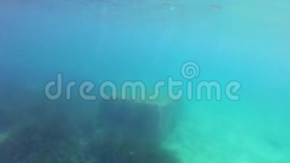 马耳他的岩石水下暗礁视频的预览图