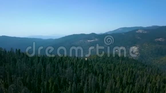 从上面鸟瞰红杉国家公园森林视频的预览图